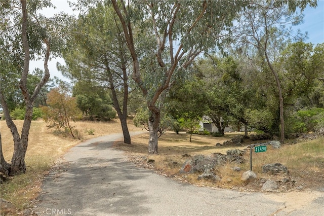 42490 Ranger Circle Way, Coarsegold, CA 93614 - view of street