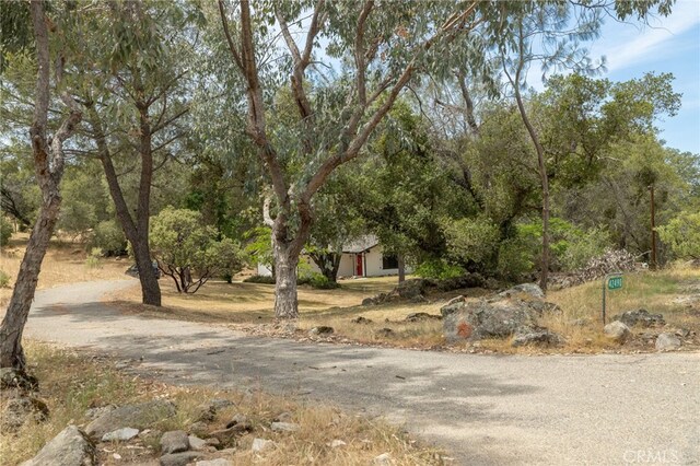 42490 Ranger Circle Way, Coarsegold, CA 93614 - view of yard