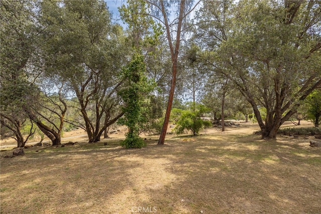 42490 Ranger Circle Way, Coarsegold, CA 93614 - view of yard