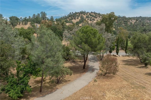 42490 Ranger Circle Way, Coarsegold, CA 93614 - view of property's community featuring a mountain view