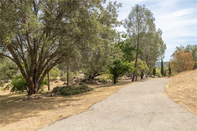 42490 Ranger Circle Way, Coarsegold, CA 93614 - view of road