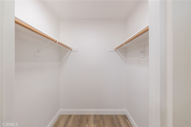 42490 Ranger Circle Way, Coarsegold, CA 93614 - walk in closet featuring light wood-style flooring