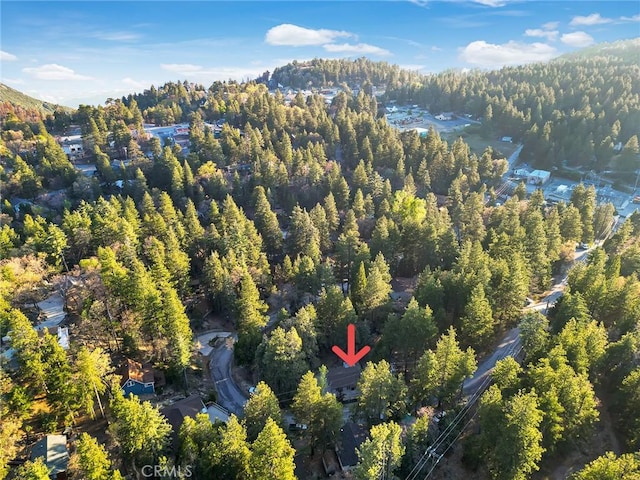 32159 Cove Cir, Running Springs, CA 92382 - view of property location with a heavily wooded area