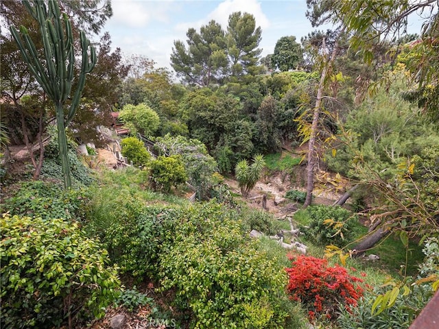 1715 W Santa Cruz St, San Pedro, CA 90732 - view of nature