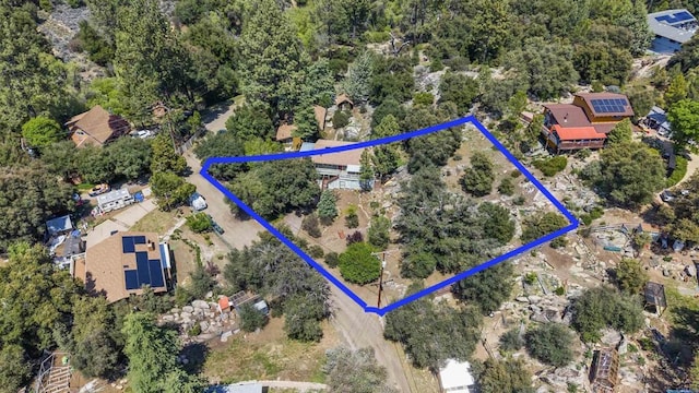 29131 Half Moon Trl, Pine Valley, CA 91962 - aerial view of property's location with property boundaries highlighted