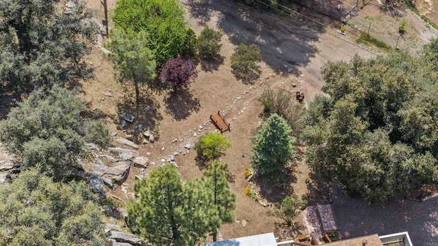 29131 Half Moon Trl, Pine Valley, CA 91962 - aerial view of property and surrounding area