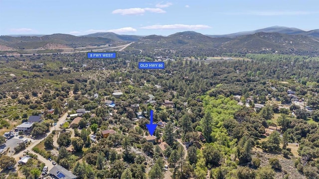 29131 Half Moon Trl, Pine Valley, CA 91962 - bird's eye view of a mountain backdrop and a forest