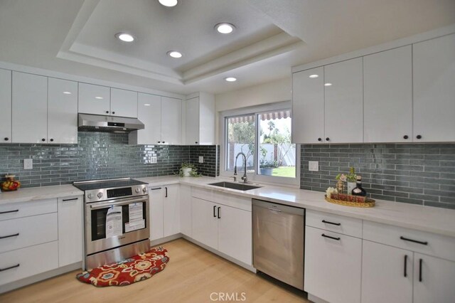 17041 Malta Cir, Huntington Beach, CA 92649 - kitchen featuring stainless steel appliances, a sink, under cabinet range hood, a raised ceiling, and light wood finished floors