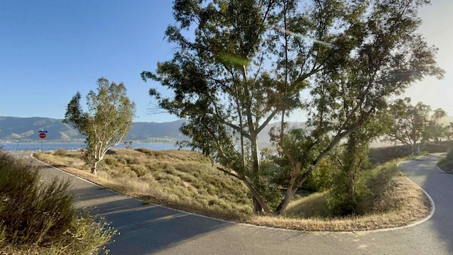 0 Sky Line Dr, Lake Elsinore, CA 92530 - photo 4