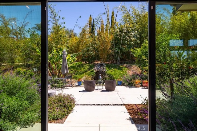 1088 Via Conca Doro, Vista, CA 92084 - photo 45