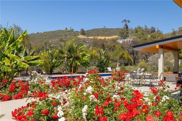 1088 Via Conca Doro, Vista, CA 92084 - view of yard with a patio area, a mountain view, and an outdoor pool