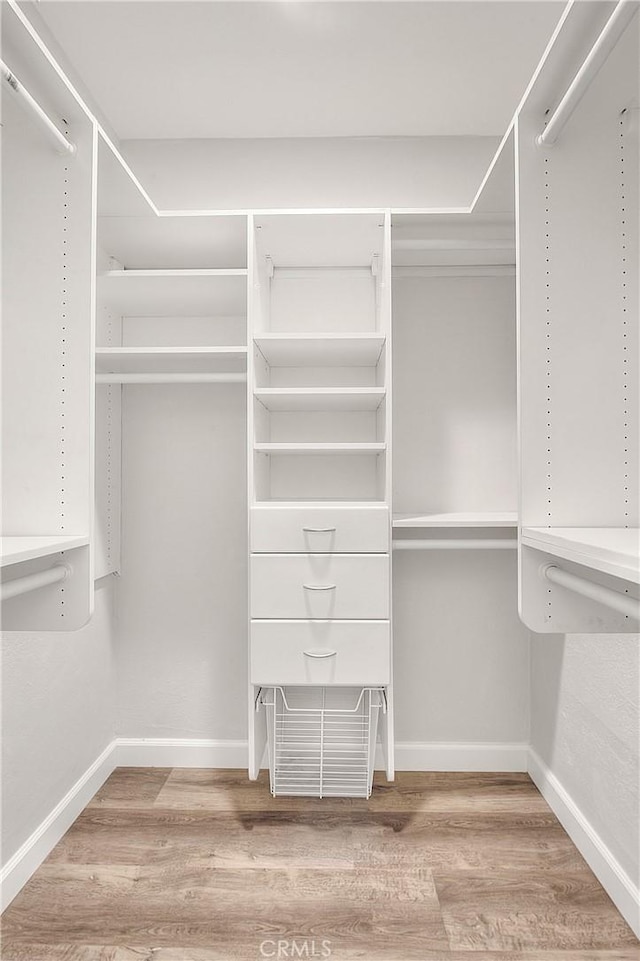 walk in closet featuring wood finished floors