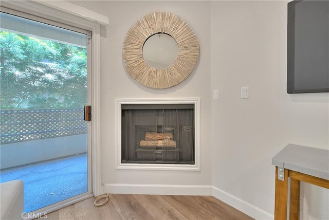 detailed view of baseboards, wood finished floors, and a fireplace