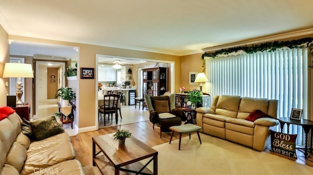 living room featuring a ceiling fan, light wood-type flooring, and crown molding