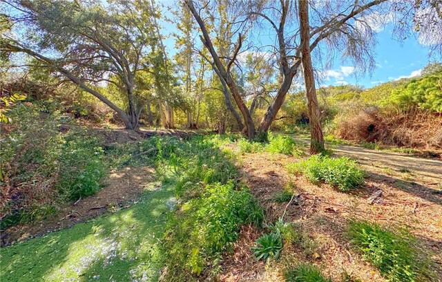 44855 Vista Del Mar, Temecula, CA 92590 - photo 17