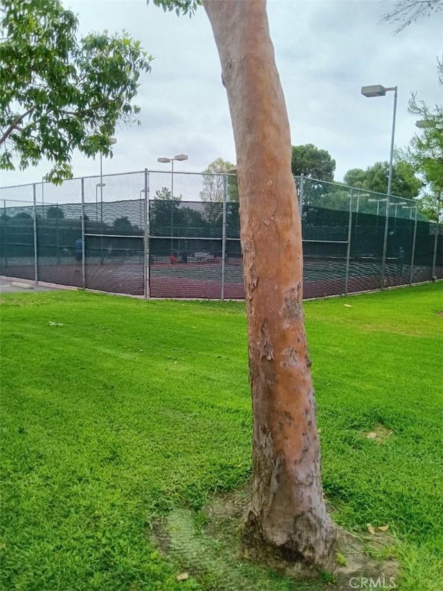 18 Goldenbush, Irvine, CA 92604 - view of tennis court