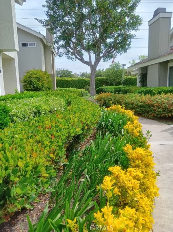 18 Goldenbush, Irvine, CA 92604 - view of yard