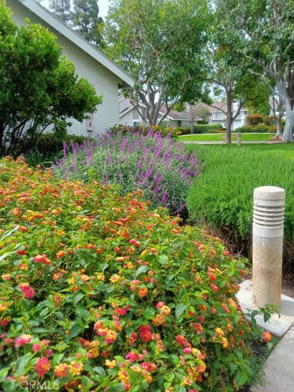 18 Goldenbush, Irvine, CA 92604 - view of yard
