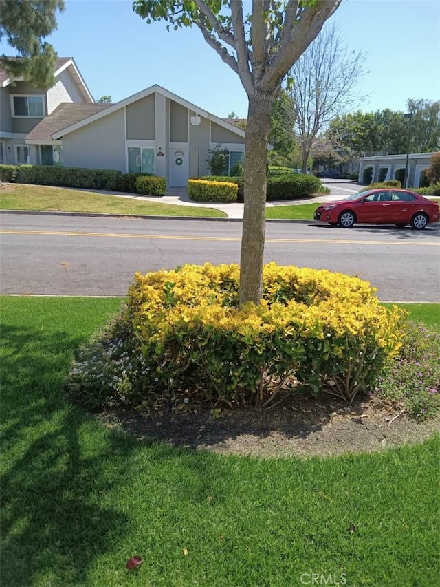 18 Goldenbush, Irvine, CA 92604 - view of green lawn