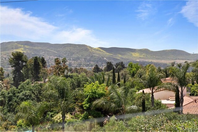 27492 Calle De La Rosa, San Juan Capistrano, CA 92675 - photo 63