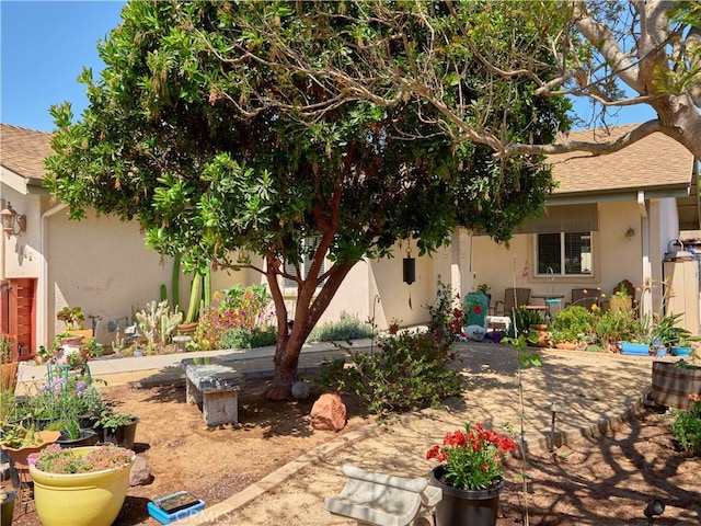 1417 23rd St, Oceano, CA 93445 - view of yard with a patio area