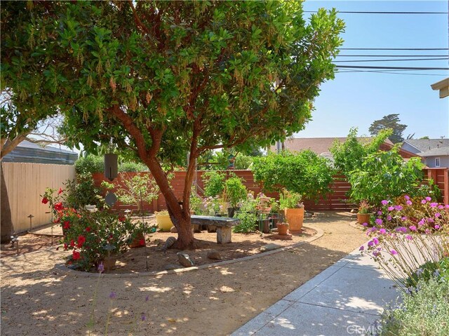 1417 23rd St, Oceano, CA 93445 - view of fenced backyard
