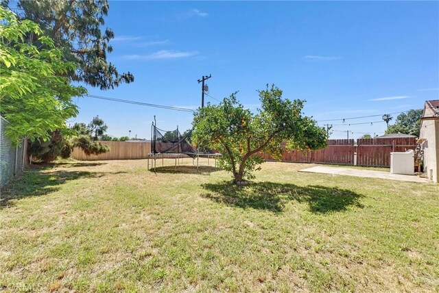 2513 Genevieve St, San Bernardino, CA 92405 - view of yard with a trampoline