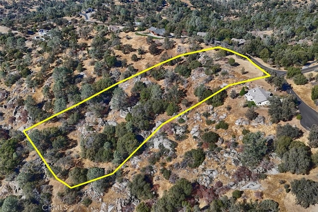 4 Lookoout Mountain Rd, Coarsegold, CA 93614