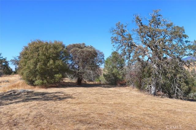 4 Lookoout Mountain Rd, Coarsegold, CA 93614