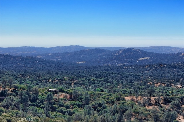 4 Lookoout Mountain Rd, Coarsegold, CA 93614