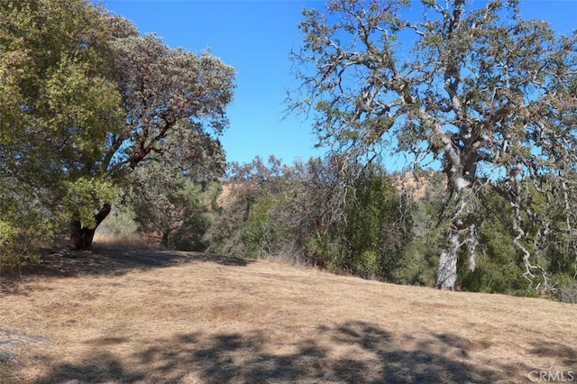 4 Lookoout Mountain Rd, Coarsegold, CA 93614