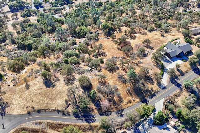 4 Lookoout Mountain Rd, Coarsegold, CA 93614