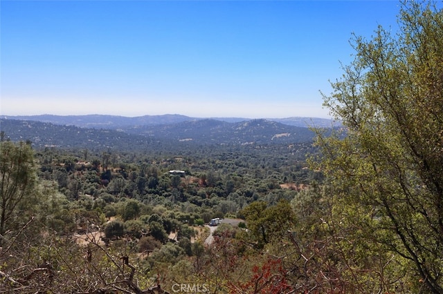 4 Lookoout Mountain Rd, Coarsegold, CA 93614
