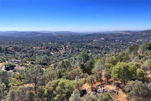 4 Lookoout Mountain Rd, Coarsegold, CA 93614