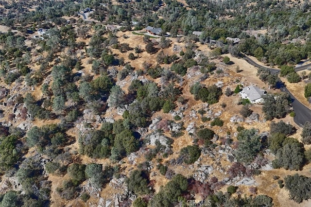 4 Lookoout Mountain Rd, Coarsegold, CA 93614