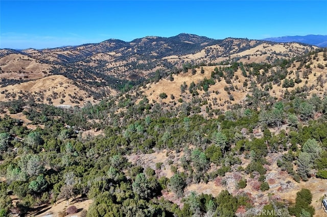 4 Lookoout Mountain Rd, Coarsegold, CA 93614