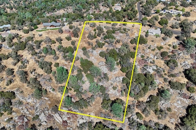4 Lookoout Mountain Rd, Coarsegold, CA 93614