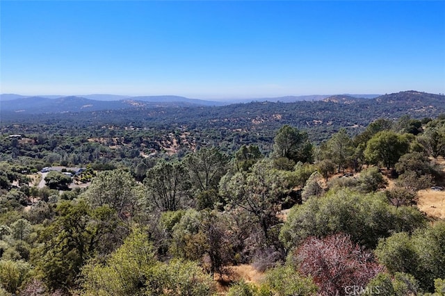 4 Lookoout Mountain Rd, Coarsegold, CA 93614