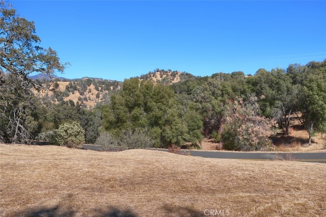 4 Lookoout Mountain Rd, Coarsegold, CA 93614