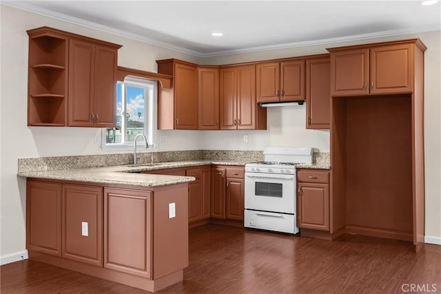 216 E El Segundo Blvd, Los Angeles, CA 90061 - kitchen featuring white gas range, a sink, a peninsula, dark wood-style flooring, and open shelves