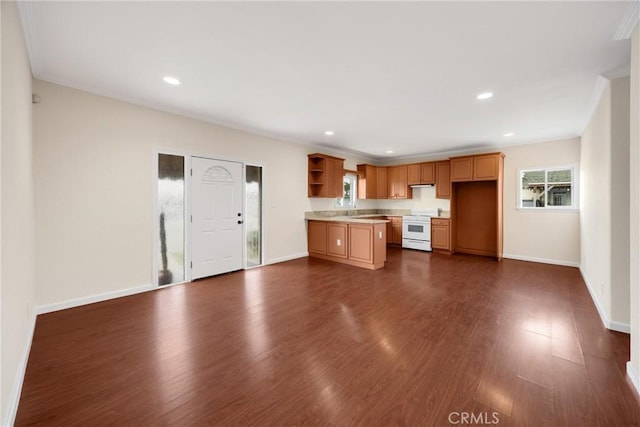 216 E El Segundo Blvd, Los Angeles, CA 90061 - unfurnished living room with dark wood-style flooring, baseboards, recessed lighting, and crown molding