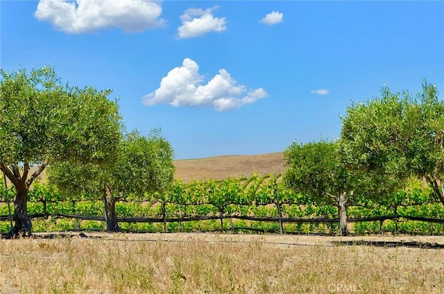 6320 Von Dollen Rd, San Miguel, CA 93451