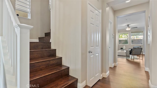 77 Crocus St, Redlands, CA 92373 - staircase with wood finished floors, a ceiling fan, and baseboards
