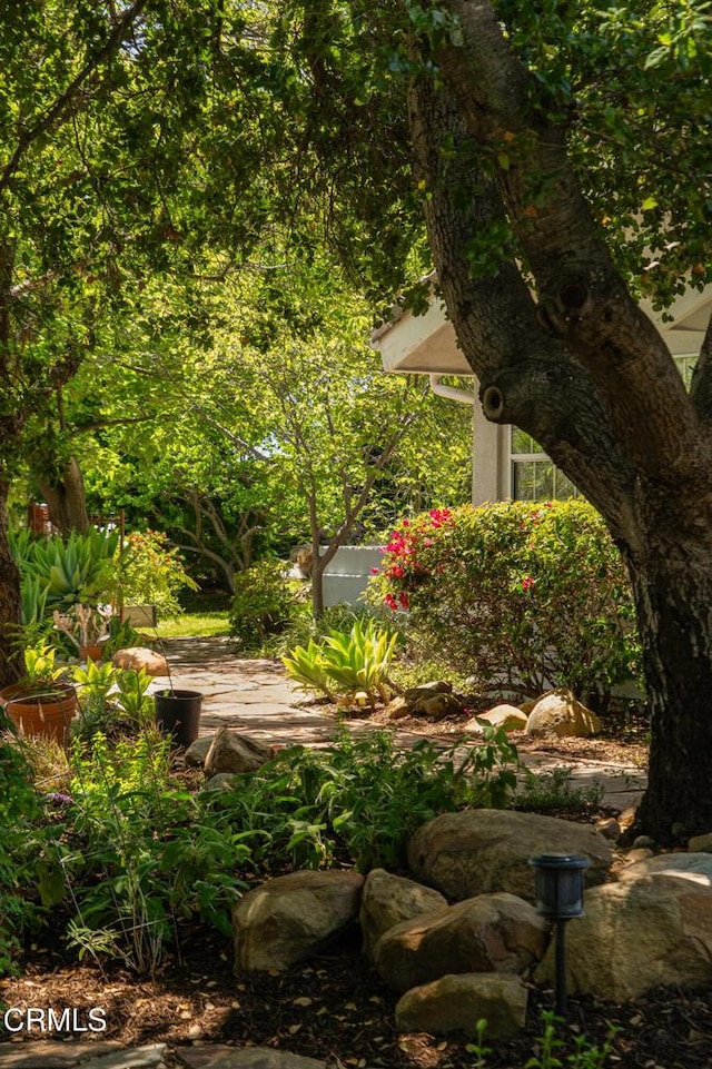 12841 Tree Ranch Rd, Ojai, CA 93023 - view of yard