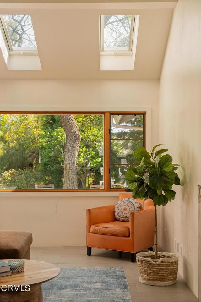 12841 Tree Ranch Rd, Ojai, CA 93023 - living area with a skylight