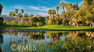 316 Forest Hills Dr, Rancho Mirage, CA 92270 - water view