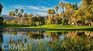 316 Forest Hills Dr, Rancho Mirage, CA 92270 - photo 30