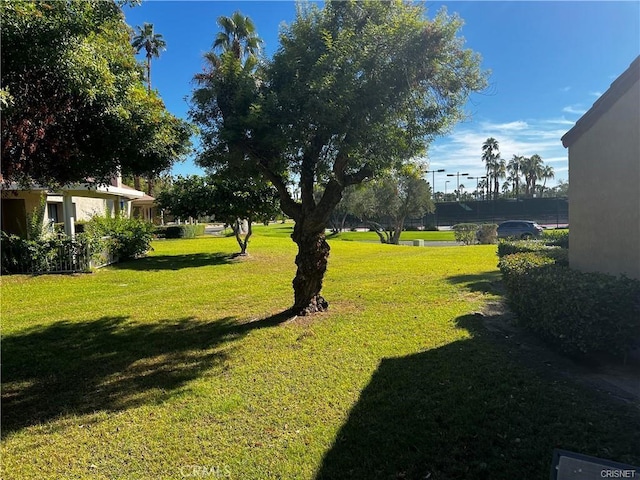 316 Forest Hills Dr, Rancho Mirage, CA 92270 - view of green lawn