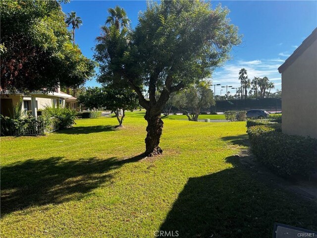 316 Forest Hills Dr, Rancho Mirage, CA 92270 - photo 26