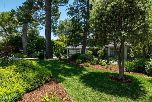 2320 Mountain Ave, La Crescenta, CA 91214 - view of grassy yard